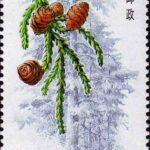 10003-150x150.jpg